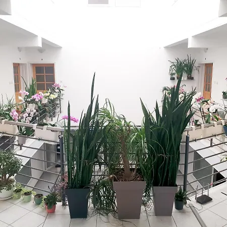 Atrijum Apartment Apatin