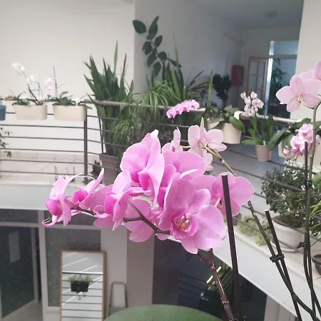 Apartment Atrijum Apatin