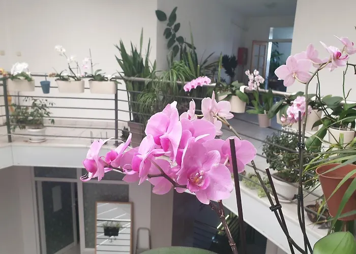 شقة Atrijum اباتين